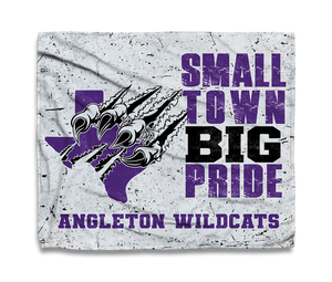 Option E - 31309(B1)-Angleton Junior High School
